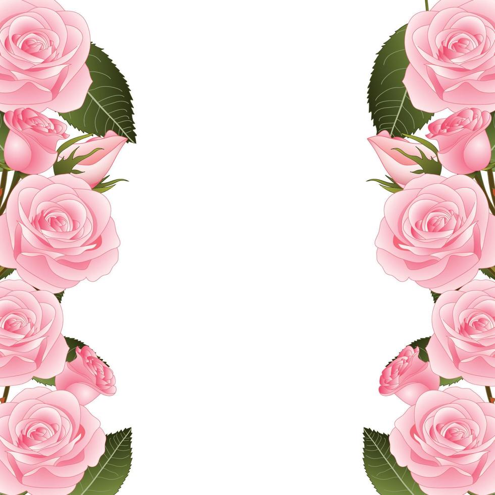 Pink Rose Flower Frame Border vector