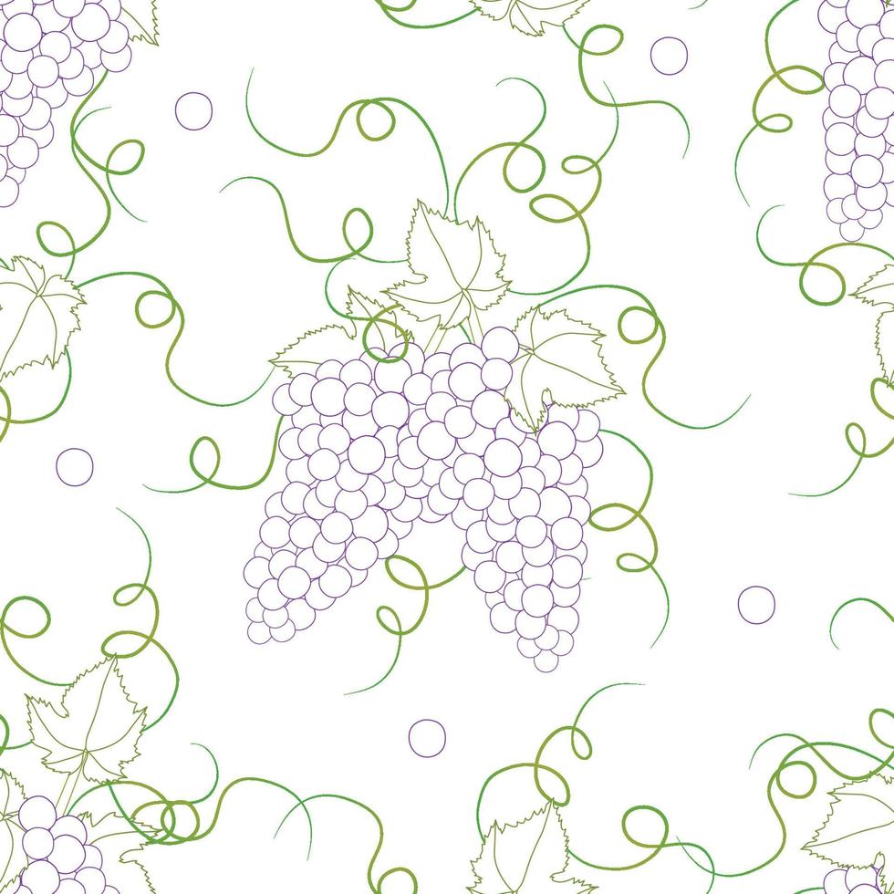 Colorful Line Seamless Grape on White Background vector