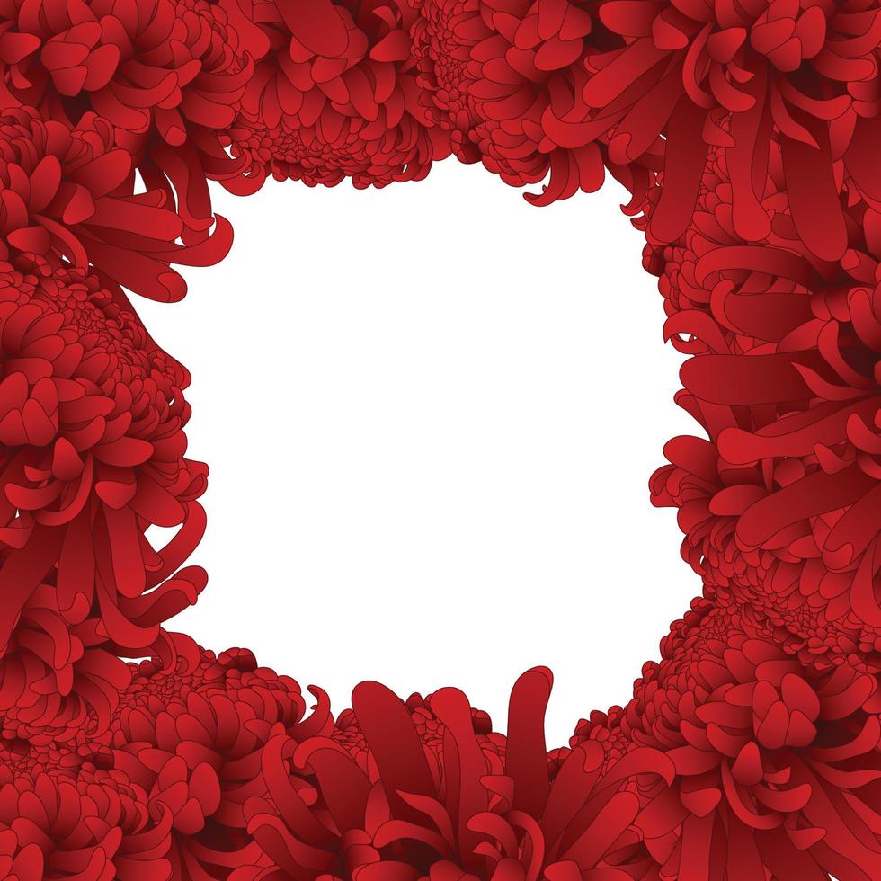 Red Chrysanthemum Flower Border. vector