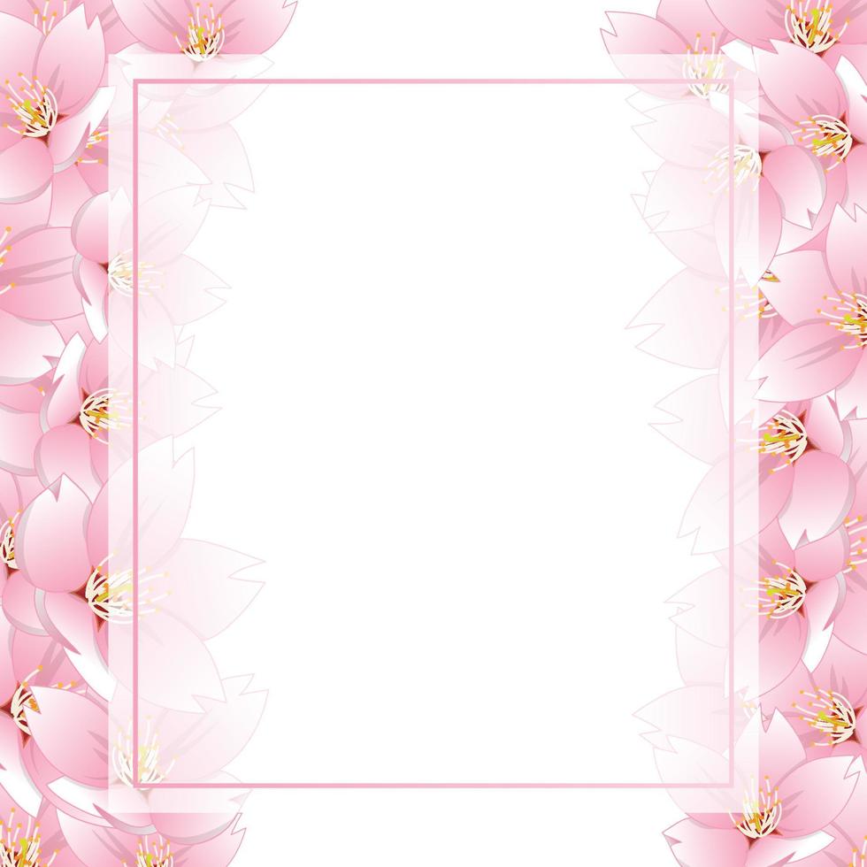 Sakura Cherry Blossom Banner Card Border vector