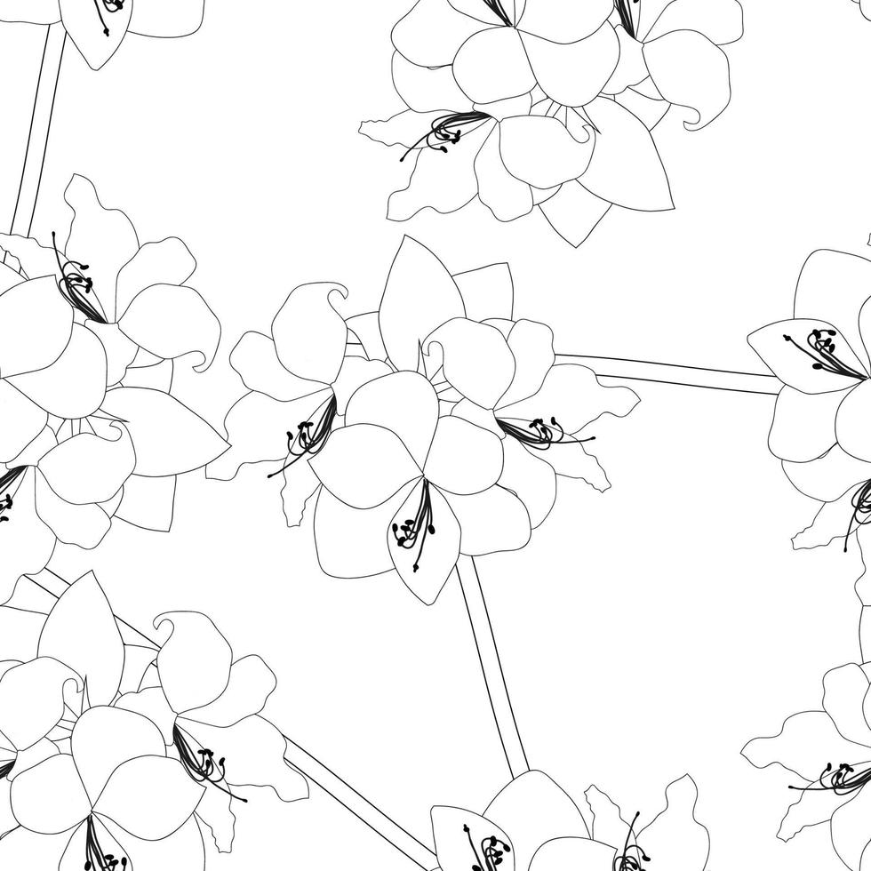 Amaryllis on White Background vector