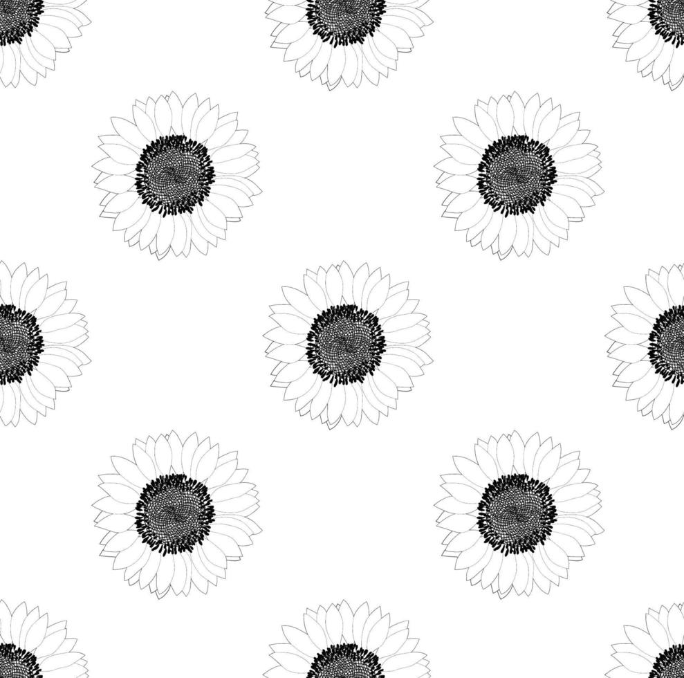 Sunflower Seamless on White Background vector