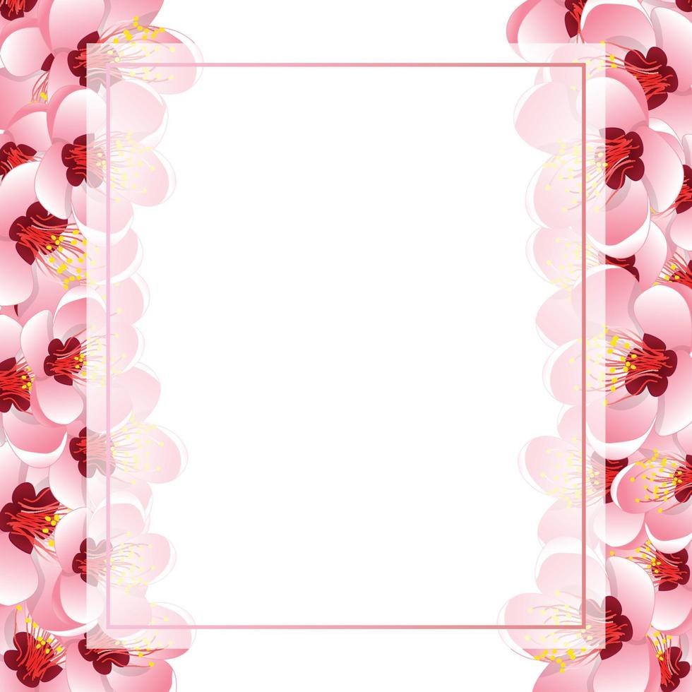 Momo Peach Flower Blossom Banner Card Border vector