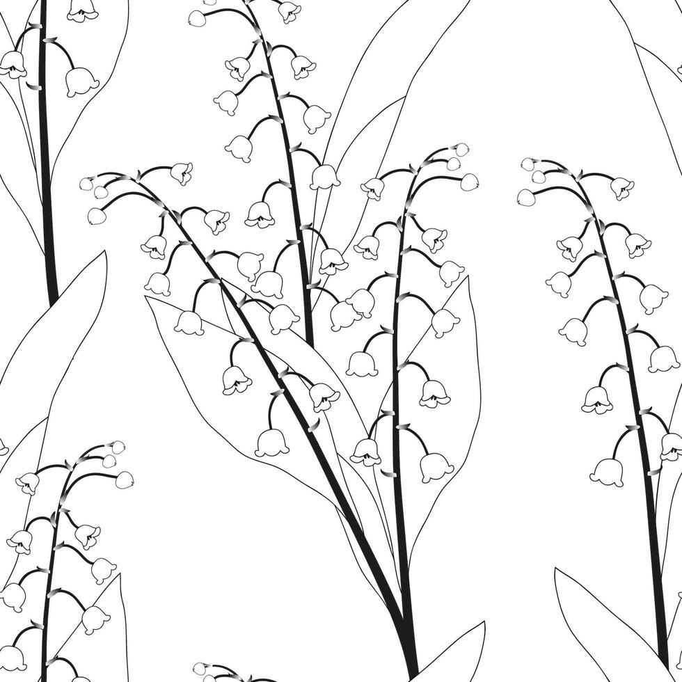 White Lily of the Valley on White Background vector