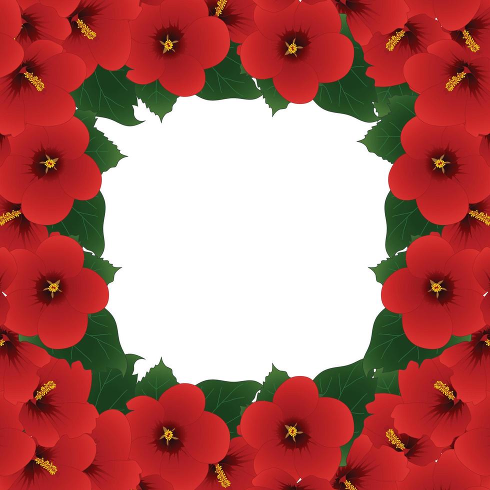 Red Hibiscus Flower - Rose of Sharon Border. vector