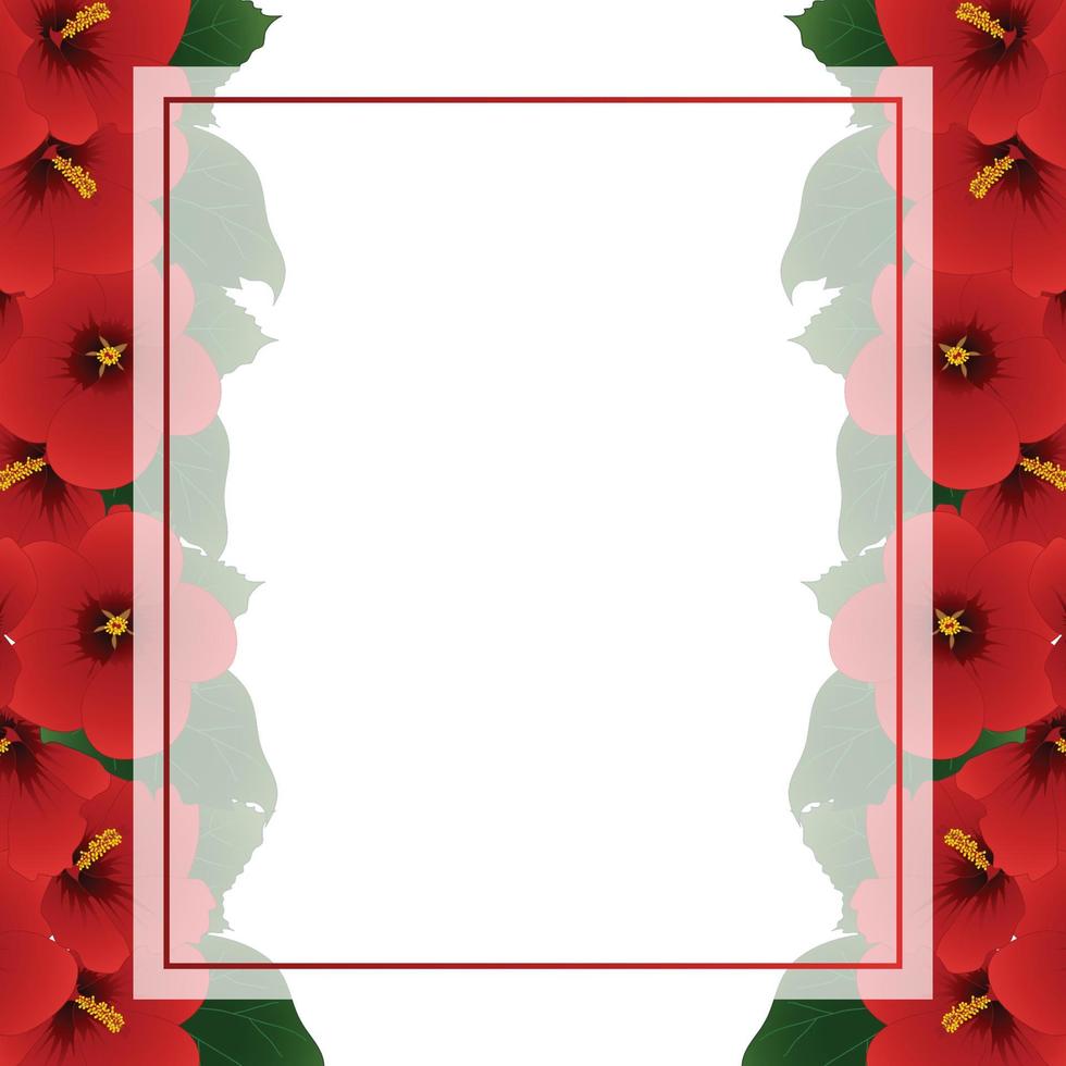 Red Hibiscus Flower - Rose of Sharon Banner Card Border vector