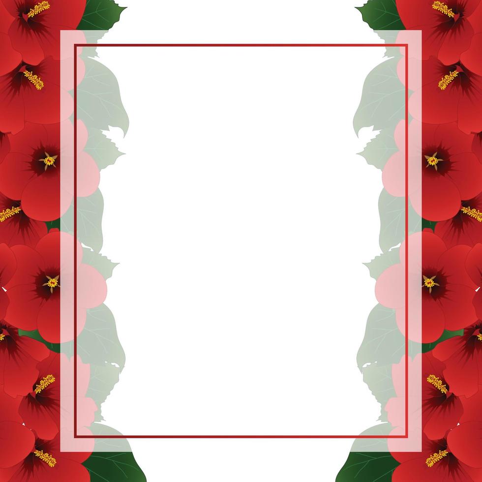 Red Hibiscus Flower - Rose of Sharon Banner Card Border vector