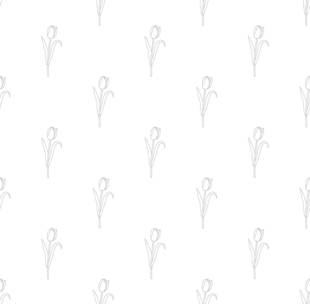 Tulips on White Background vector