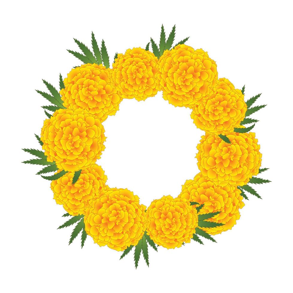 Marigold Flower - Tagetes Wreath vector
