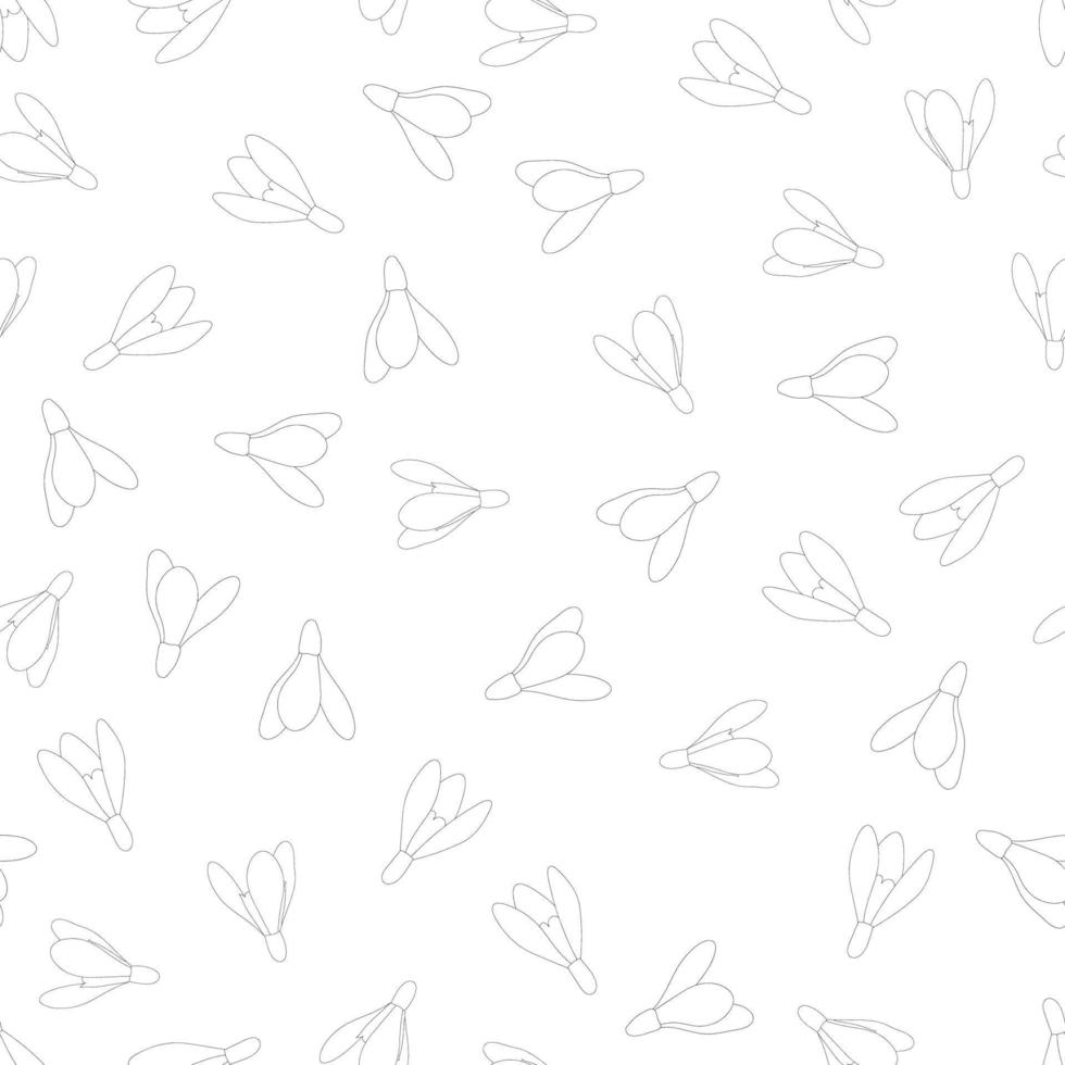 Snowdrop Flower Outline Seamless Background vector
