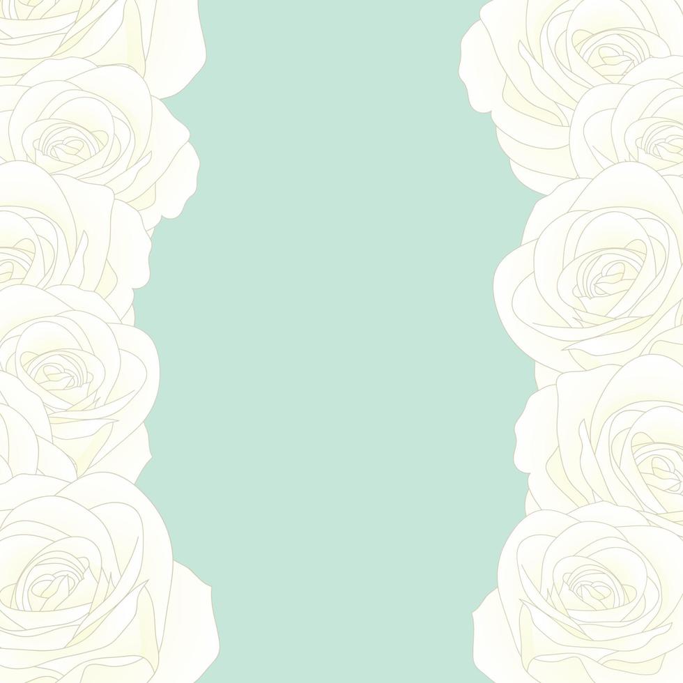 White Rose Border vector