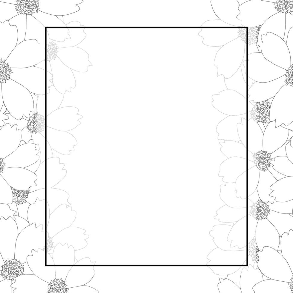 Cosmos Flower Outline Banner Card Border vector