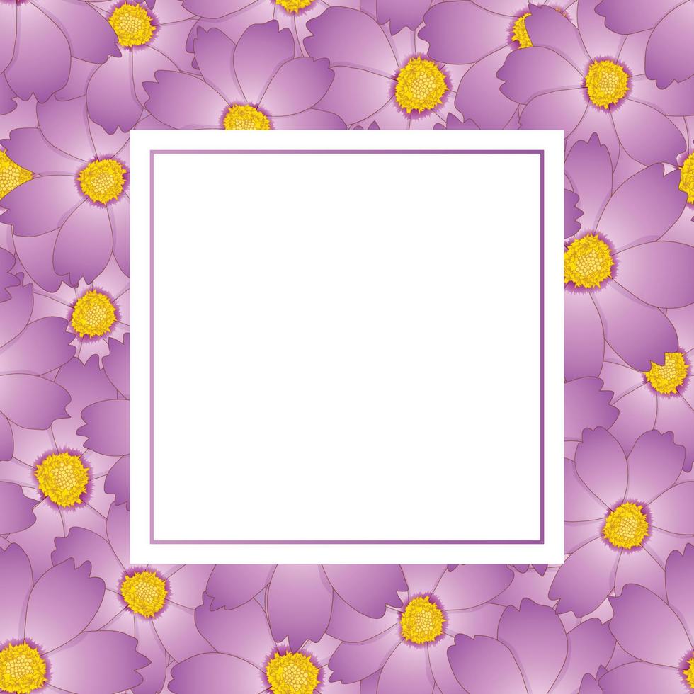 Pink Cosmos Flower Banner Card vector