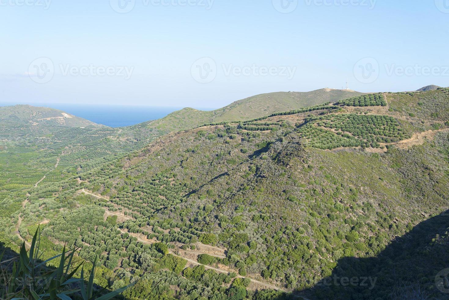 Hills with bushes on a Sunny day. photo