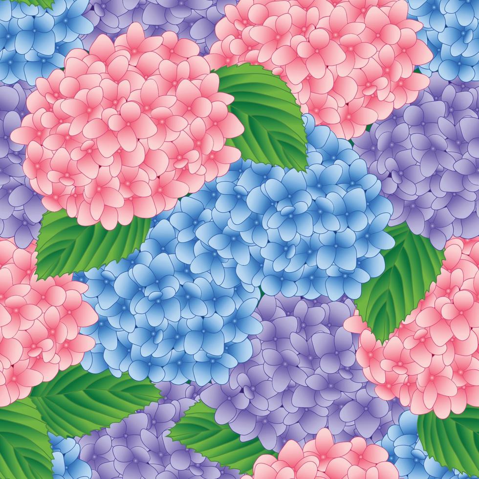 Fondo transparente de flor de Hortensia azul, rosa y púrpura. ilustración vectorial vector