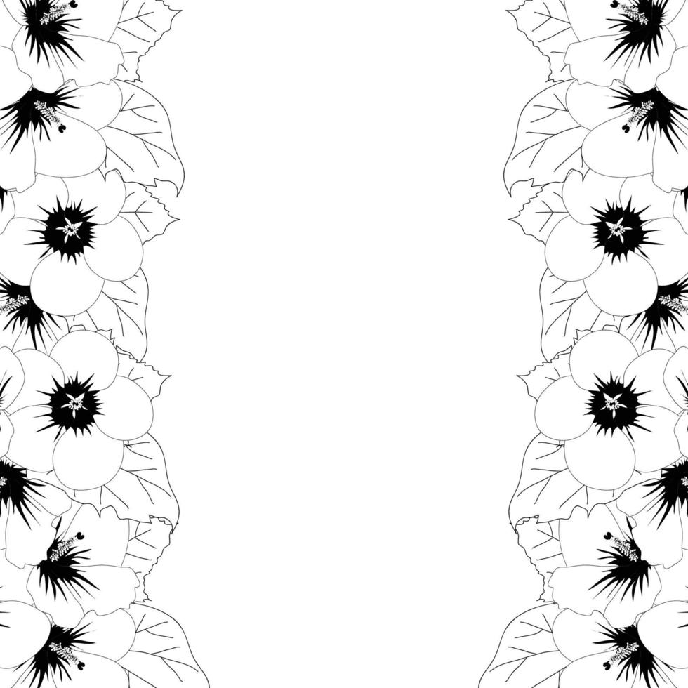 Hibiscus syriacus Outline - Rose of Sharon Border vector