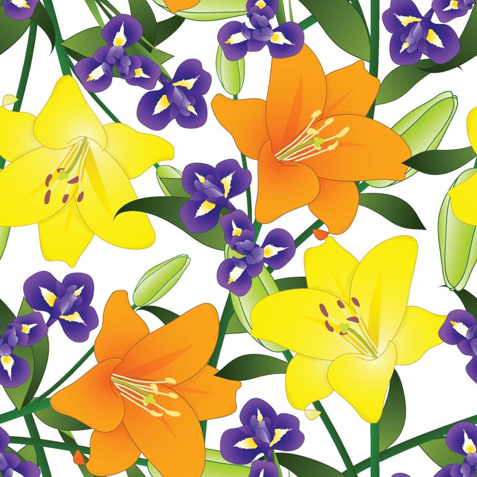 Yellow Orange Lily and Blue Iris Flower on White Background vector
