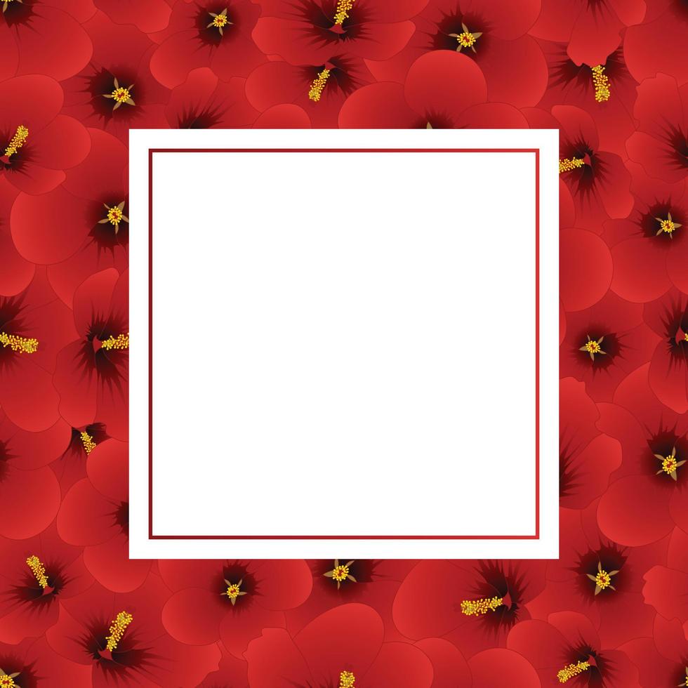 hibisco rojo syriacus - rosa de la tarjeta de la bandera de sharon vector