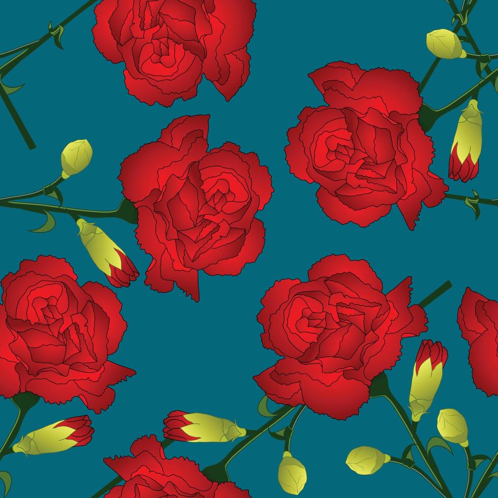 Dianthus caryophyllus - Red Carnation Flower on Indigo Blue Background. vector