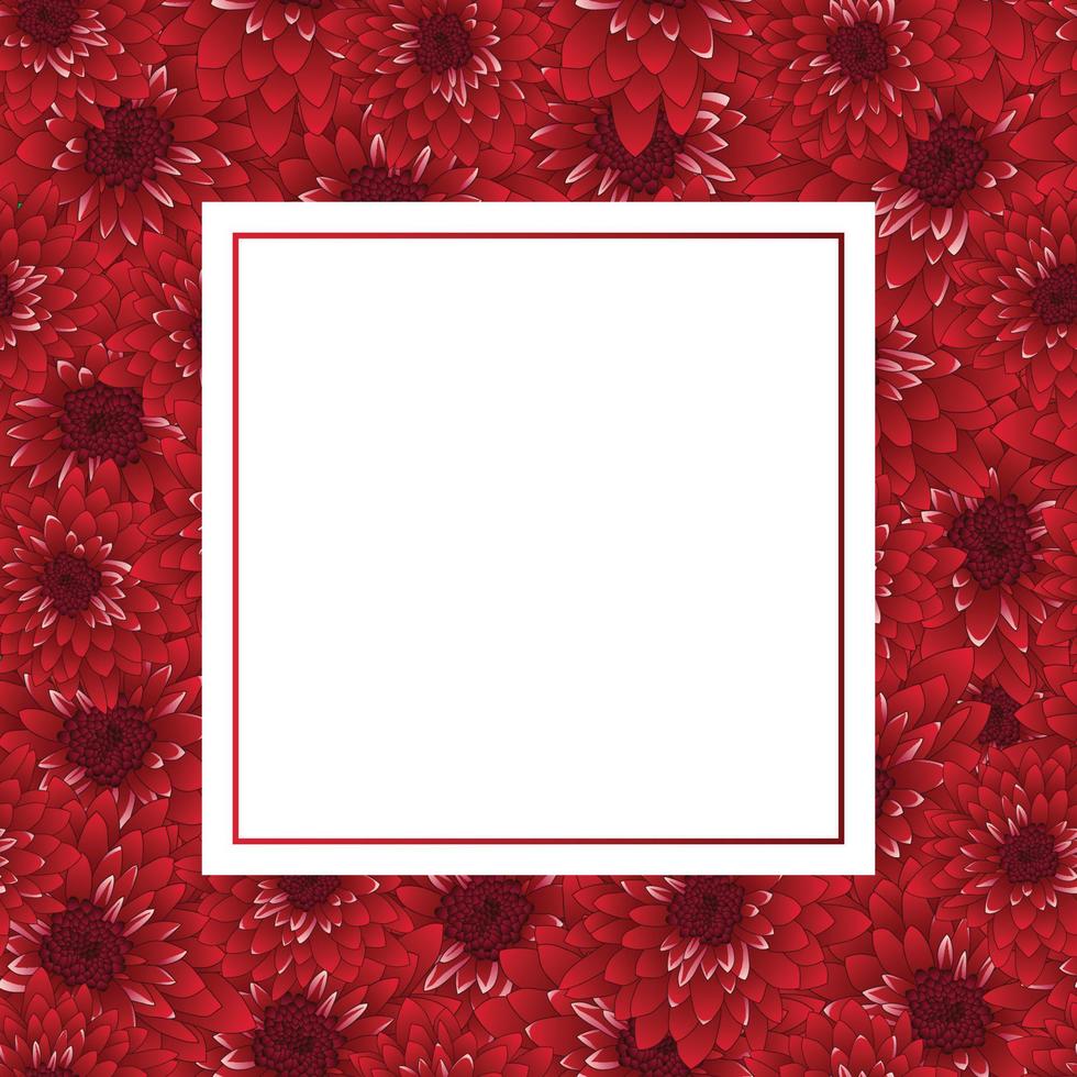 tarjeta de banner de crisantemo rojo vector