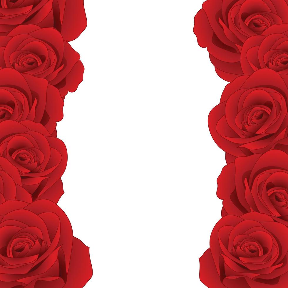 Red Rose Border vector