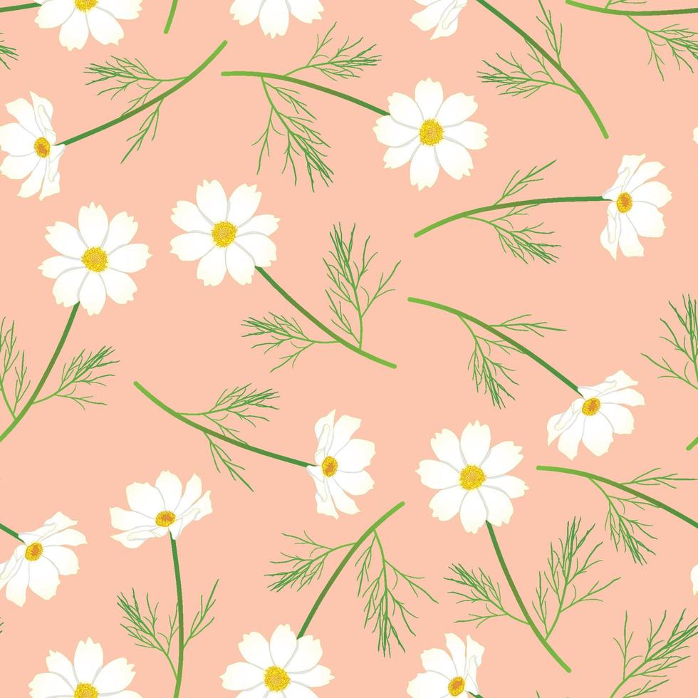 White Cosmos Flower on Pink Salmon Background. vector