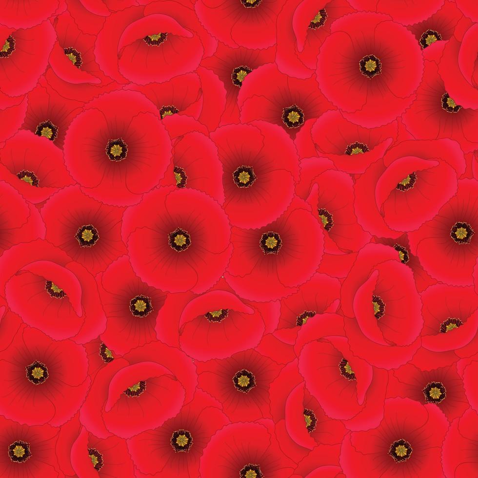 Red Corn Poppy Seamless Background vector