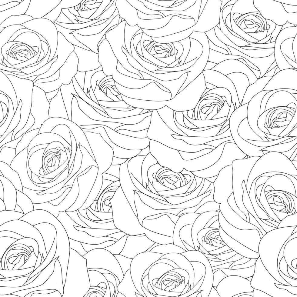 Beautiful Rose - Rosa Outline Seamless Background. vector