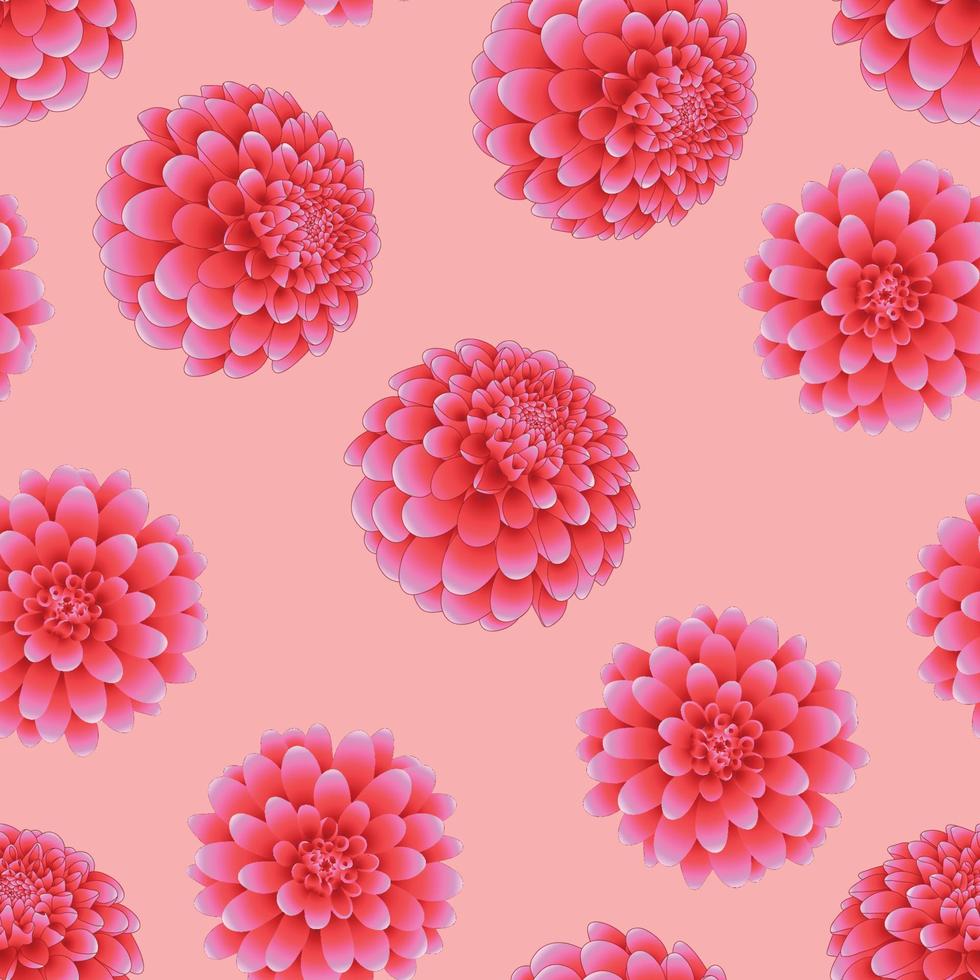 Pink Dahlia on Light Pink Background vector