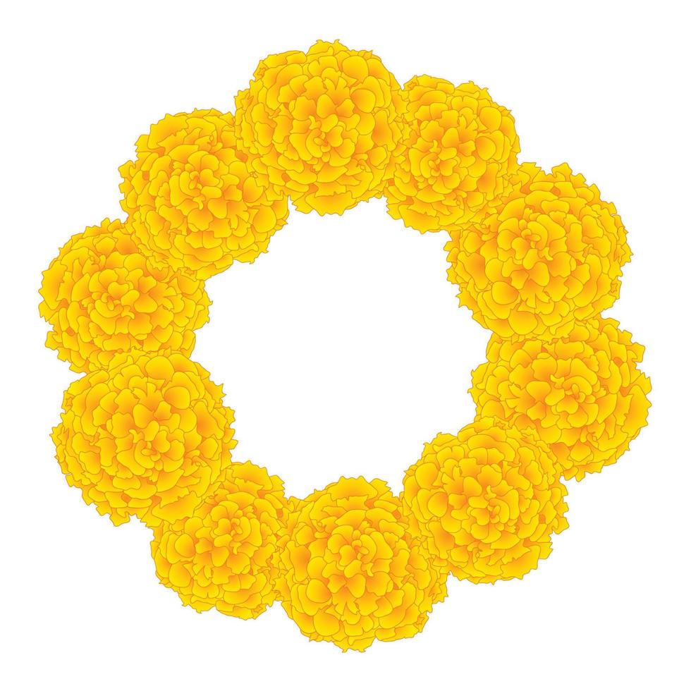 flor de caléndula - corona de tagetes vector