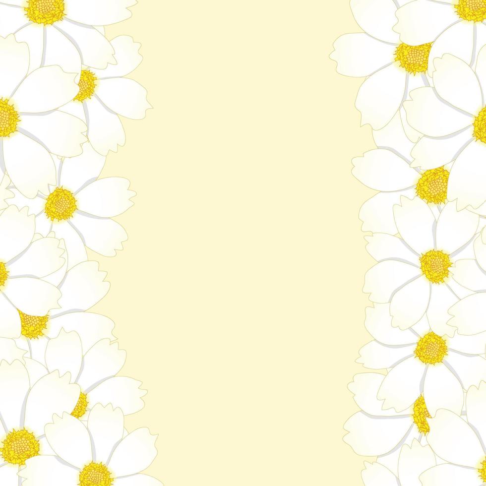 White Cosmos Flower Border vector