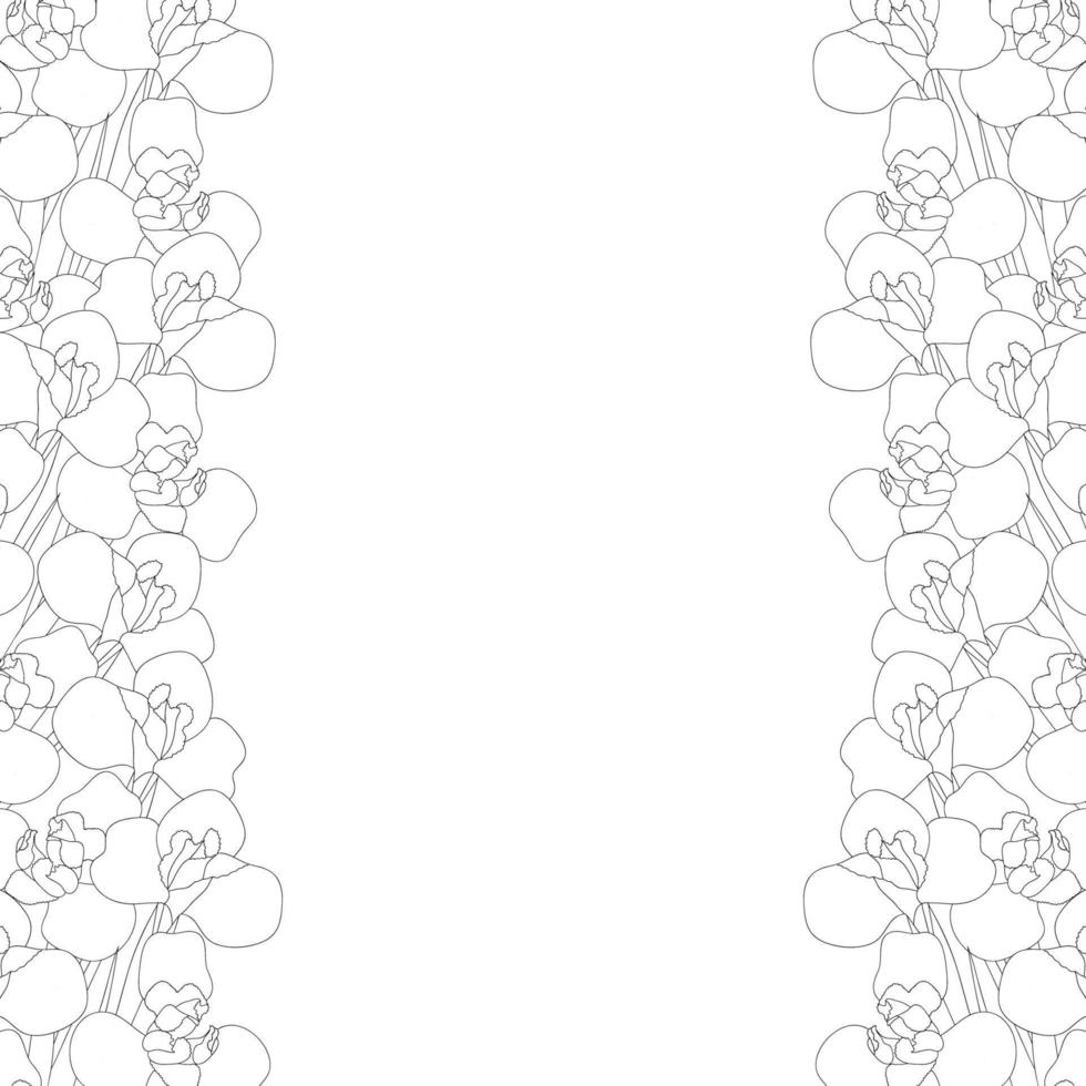 Iris Flower Outine Border on White Background vector