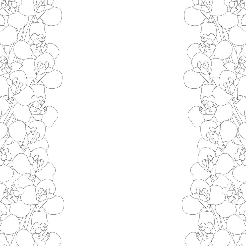 Iris Flower Outine Border on White Background vector