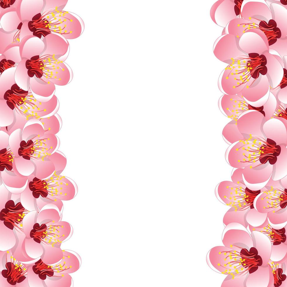 Momo Peach Flower Blossom Border Background vector