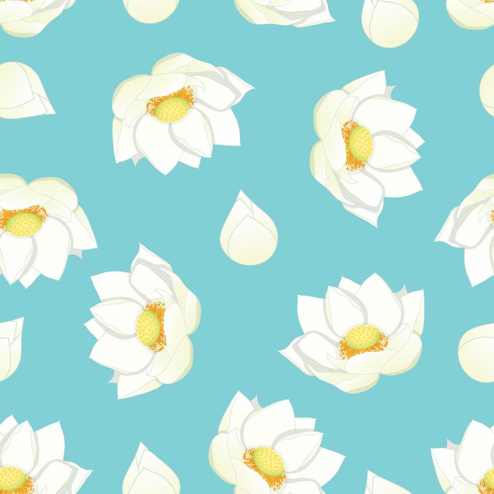 White Indian lotus on Blue Background vector