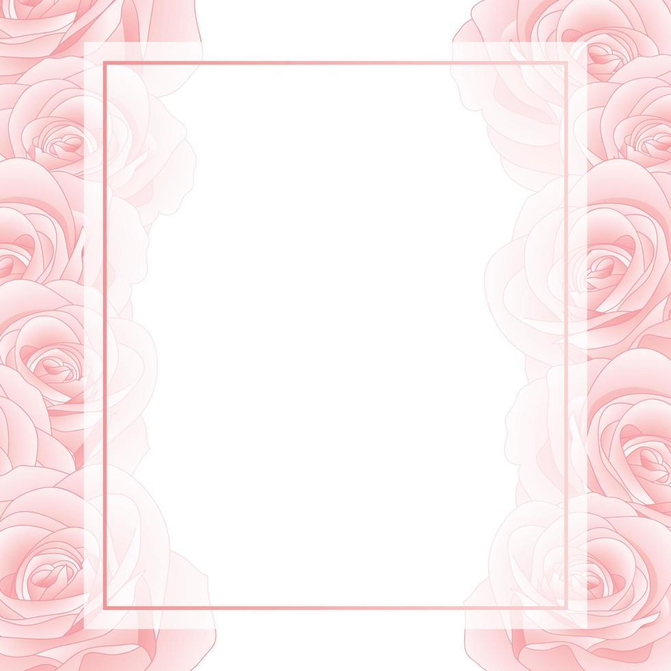 Pink Rose Banner Card Border vector