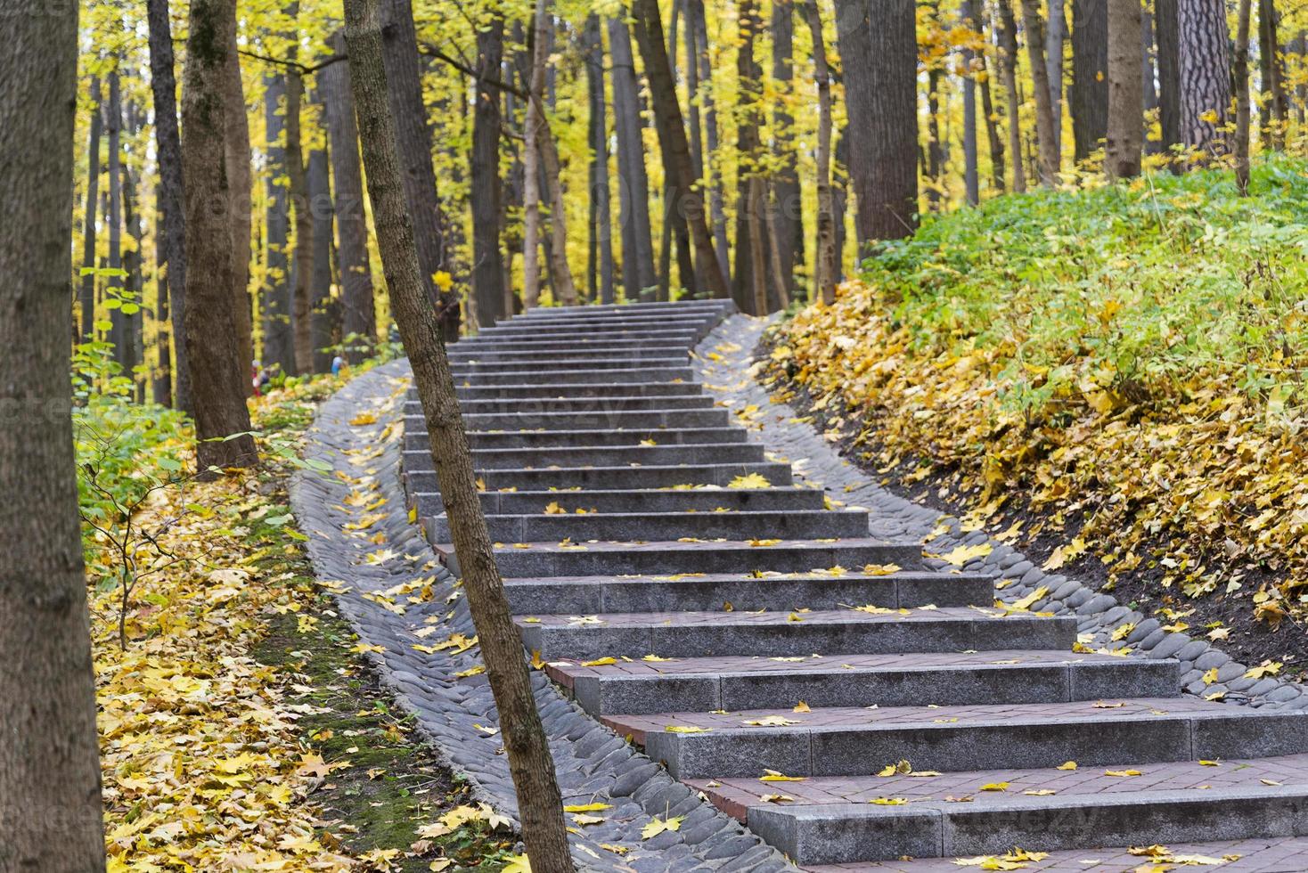 Stairs covered with colorful fall leaves. photo