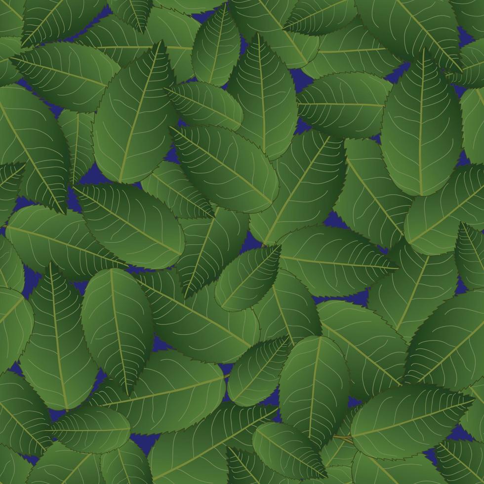 Camellia Leaves on Blue Background vector