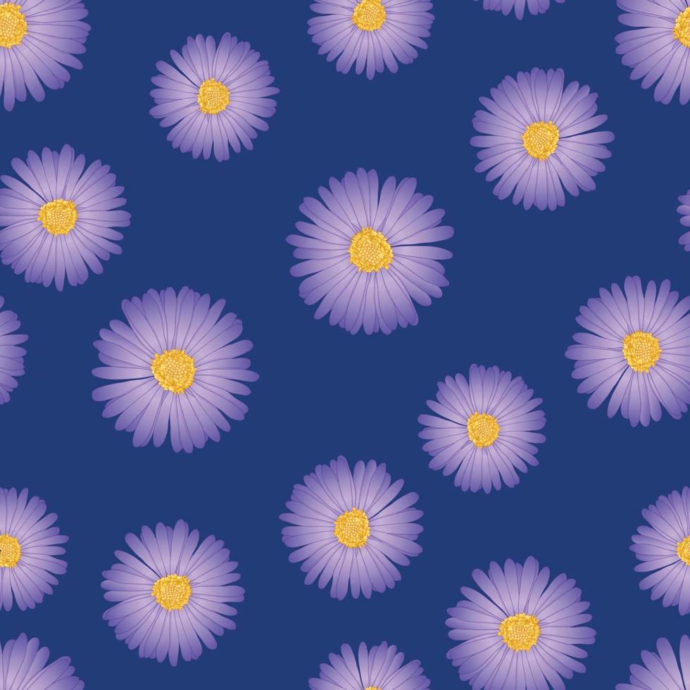 Purple Aster, Daisy Seamless on Indigo Blue Background. vector