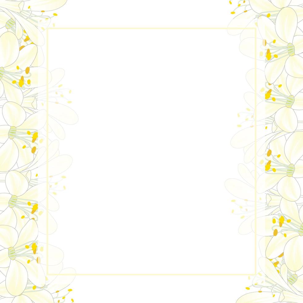 Snow White Agapanthus Banner Card Border vector