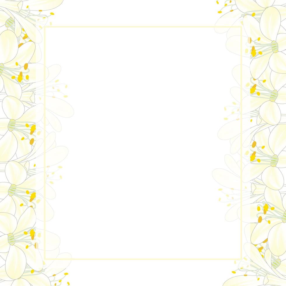 Snow White Agapanthus Banner Card Border vector