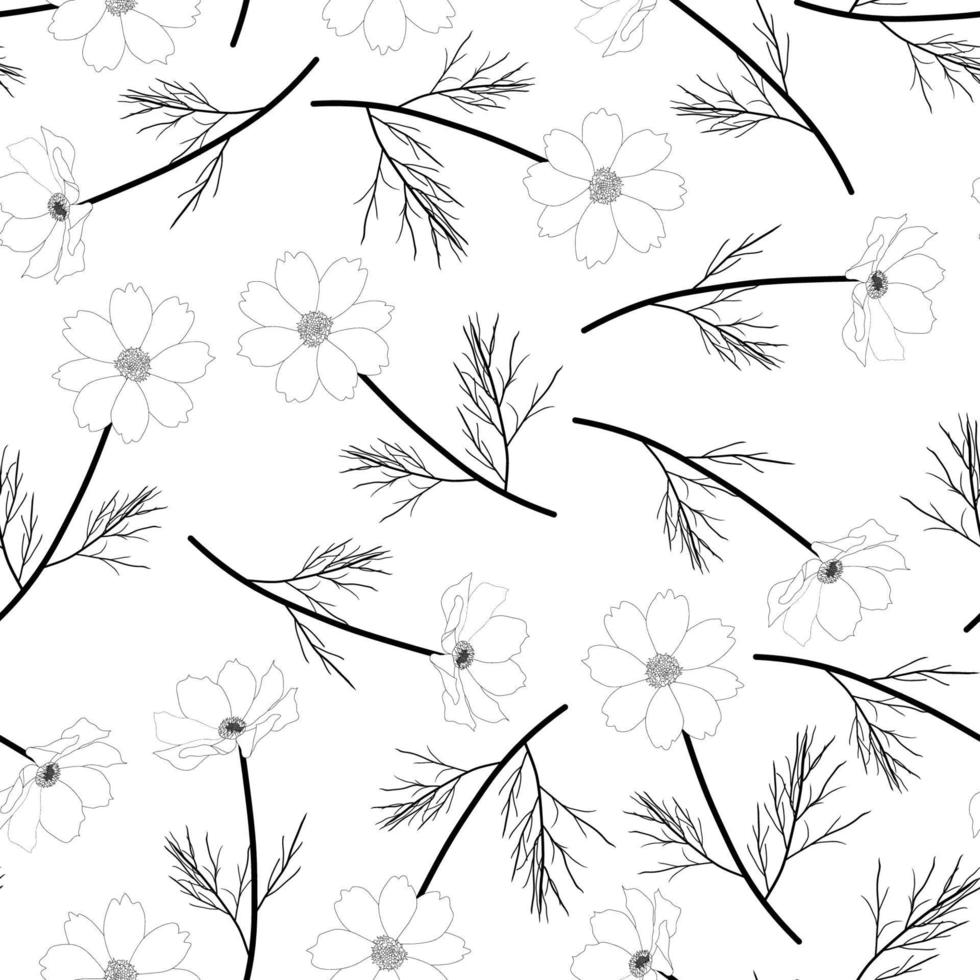 Cosmos Flower Outline Background vector