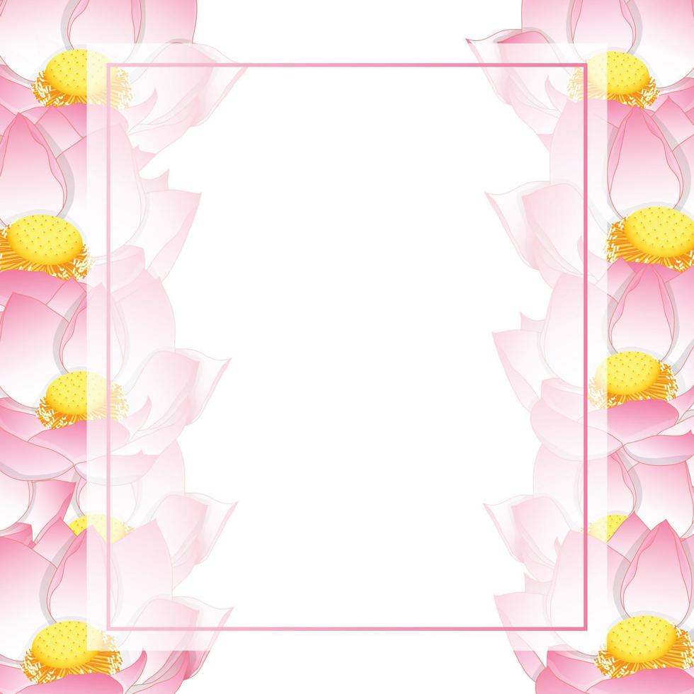 borde de tarjeta de banner de loto indio rosa vector