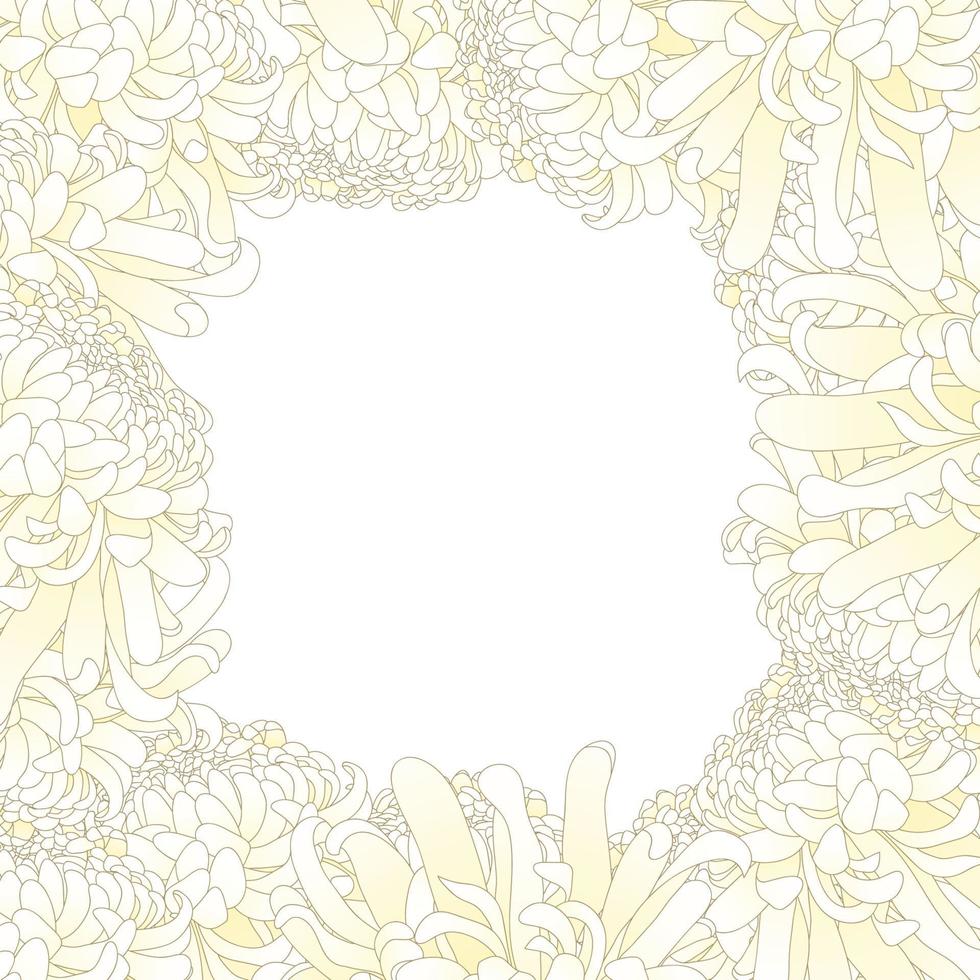 White Chrysanthemum Flower Border. vector