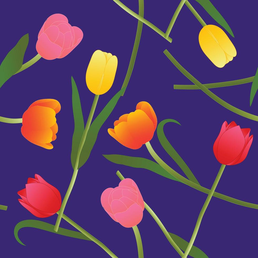 Colorful Tulip on Blue Violet Background. Vector Illustration