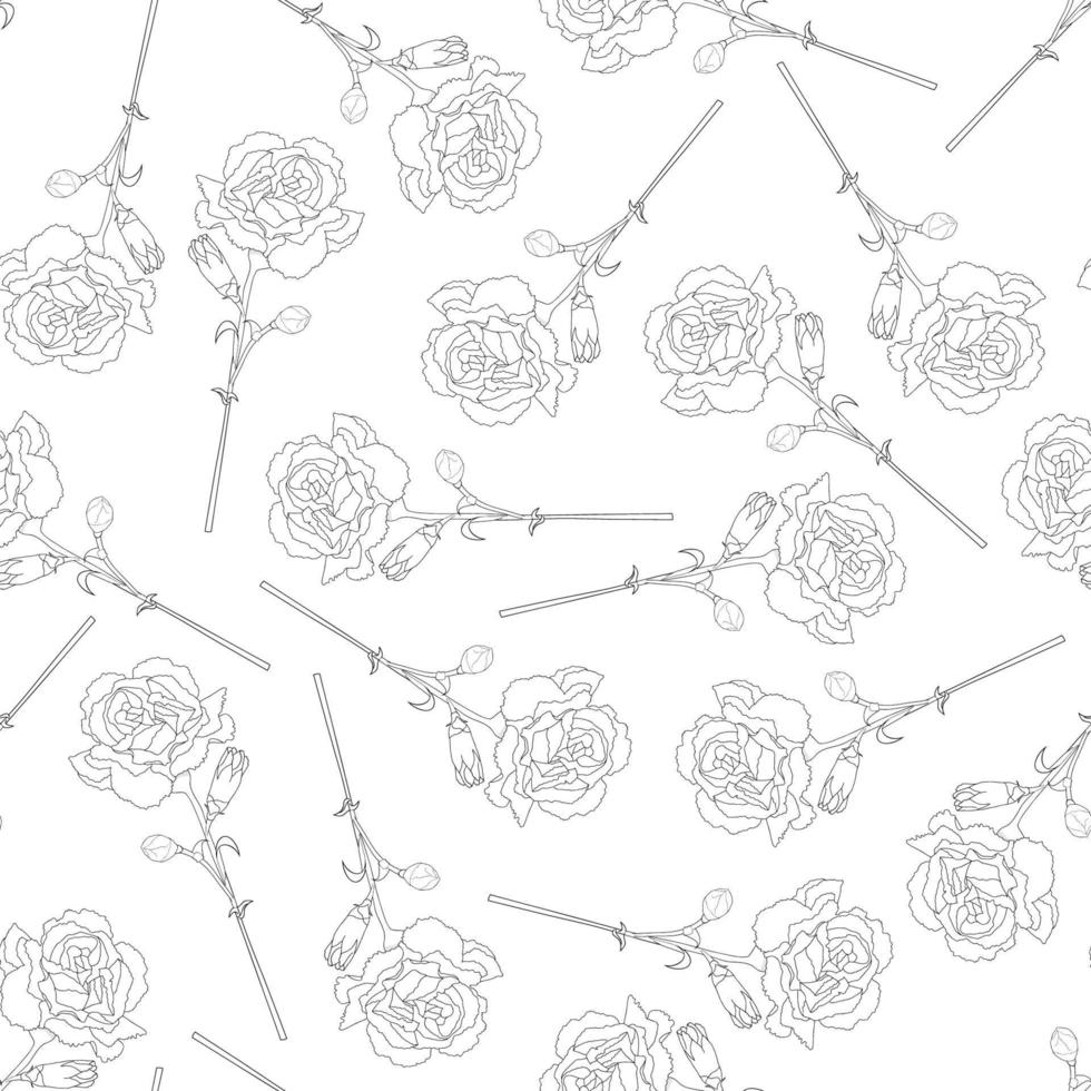 Carnation Flower Outline Background vector