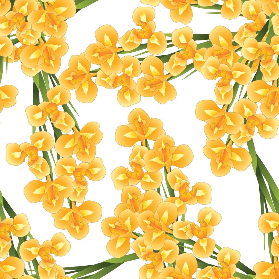 flor de iris naranja sobre fondo blanco vector