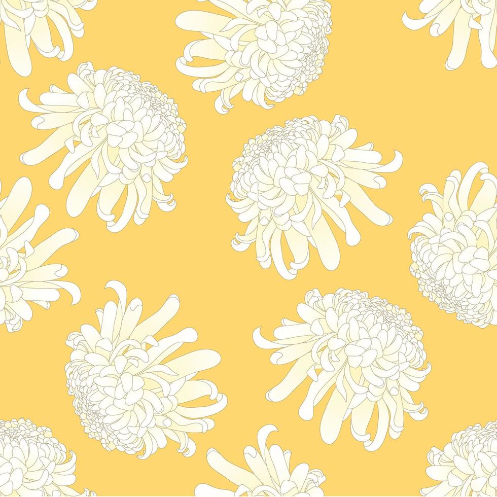 White Chrysanthemum Flower on Yellow Background vector