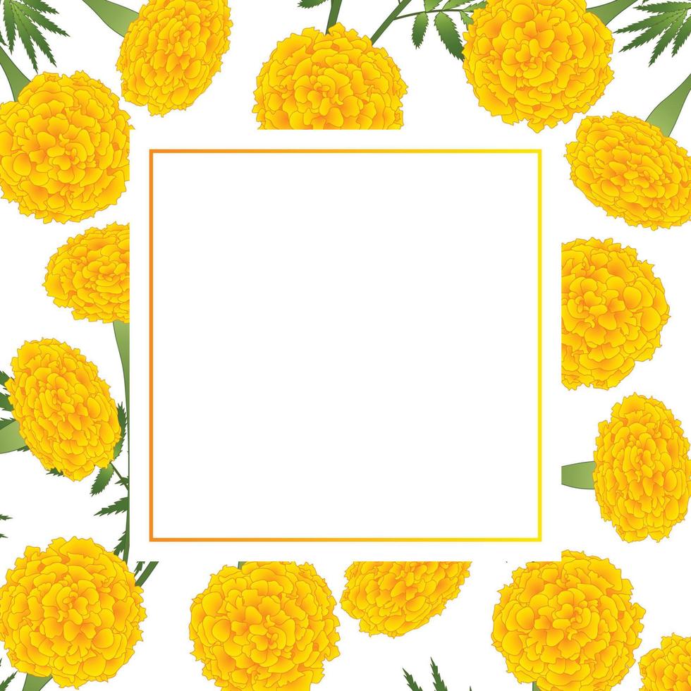 Yellow Marigold on White Banner Card vector