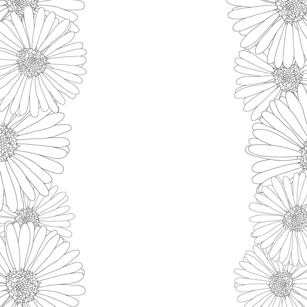 Aster, Daisy Flower Outline Border vector